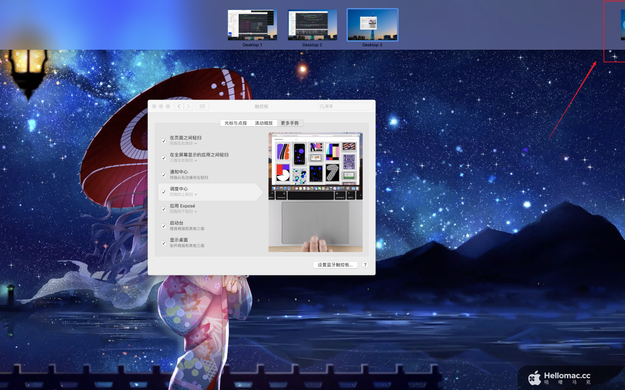 Live Wallpaper & Themes 4K Pro v23.2 MAS