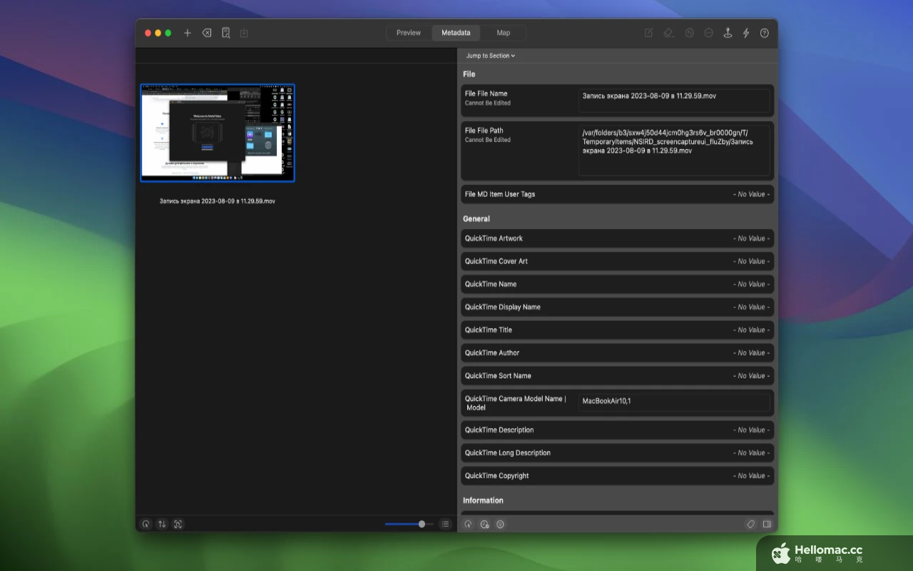MetaVideo v1.1.6