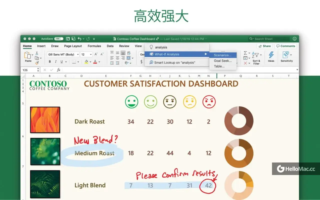 Microsoft 365 Excel LTSC 2024 v16.91
