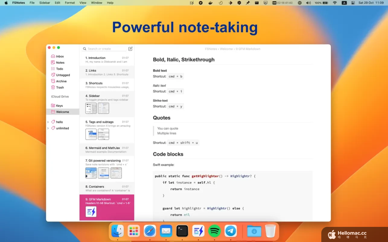 FSNotes v6.9.10 MAS