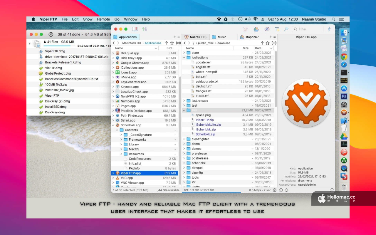 Viper FTP v6.6.3