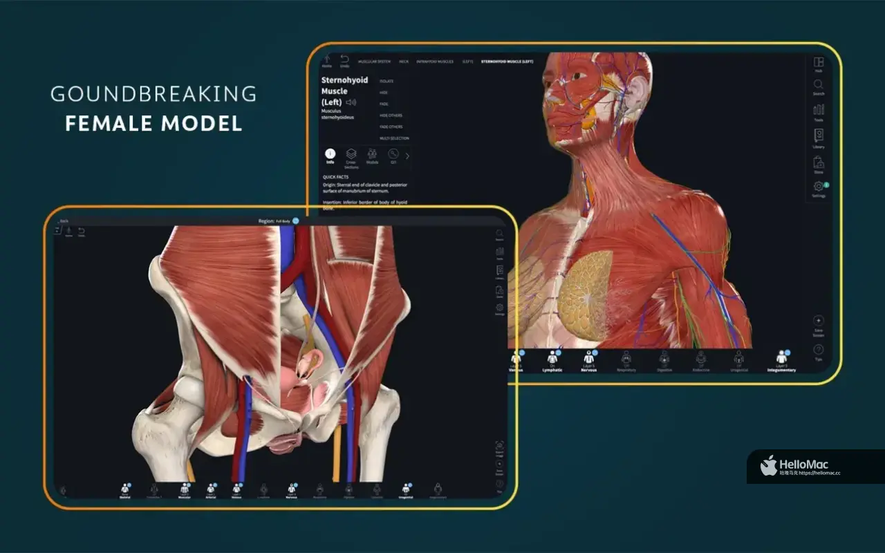Complete Anatomy v11.0