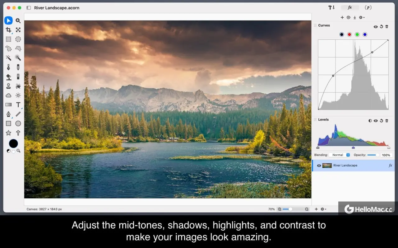 Acorn v8.1.1