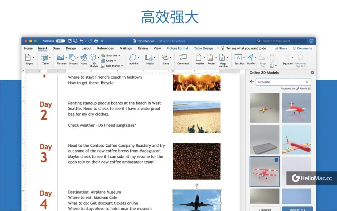 Microsoft 365 Word LTSC 2024 v16.91