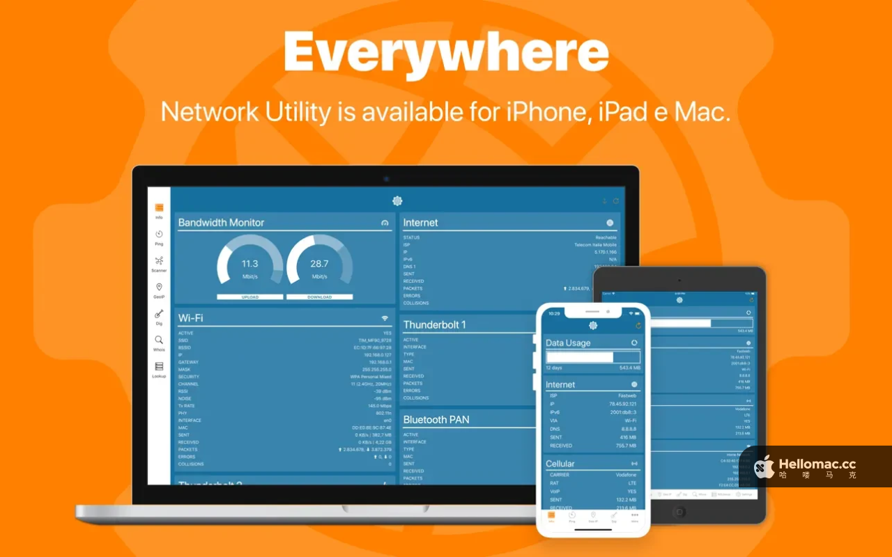 Network Kit X v9.2.0 MAS