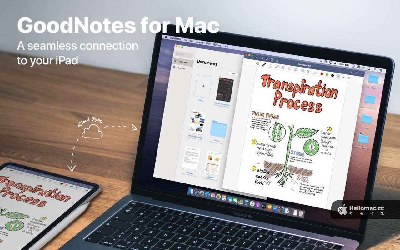 GoodNotes 5 v5.9.8 MAS