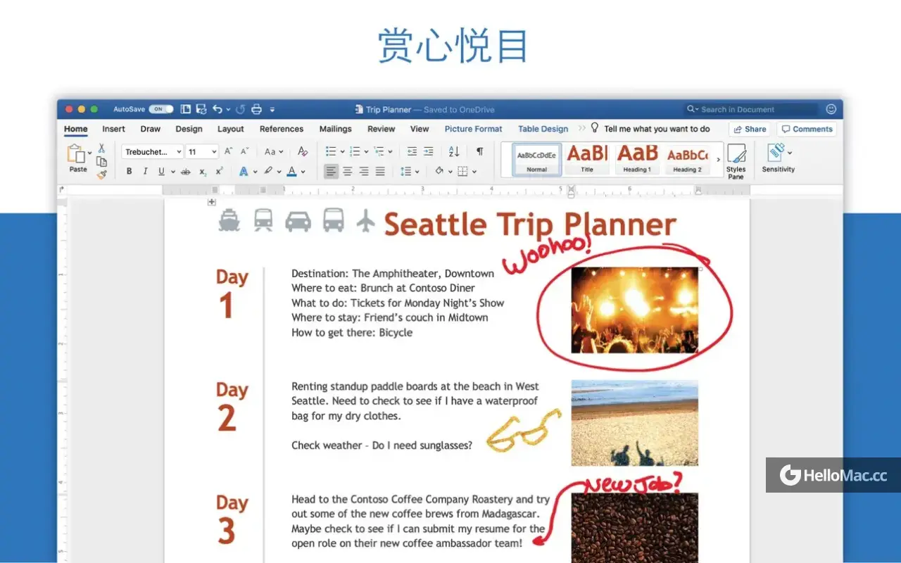 Microsoft 365 Word LTSC 2024 v16.91