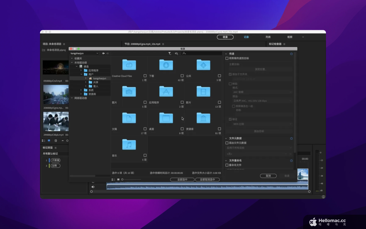 Adobe Prelude CC 2021 v10.1