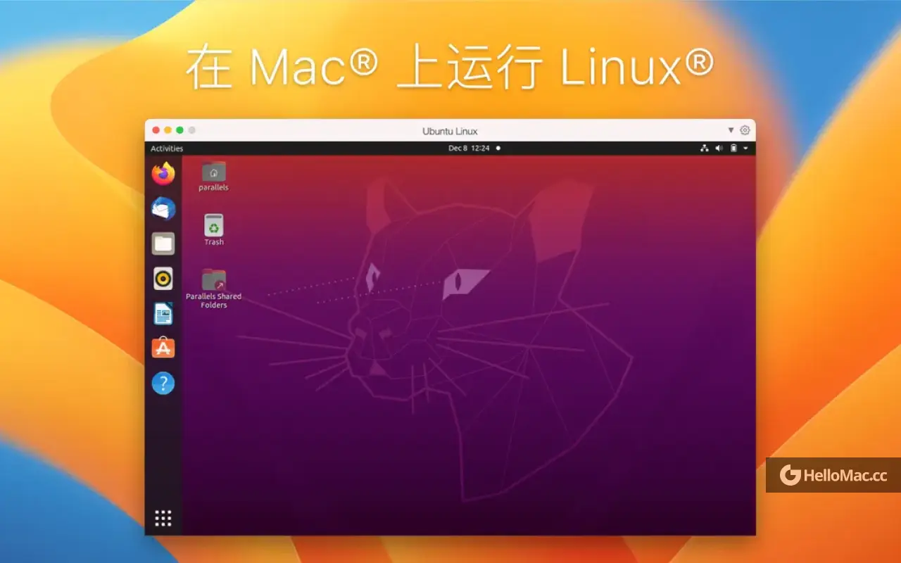 Parallels Desktop v20.3.1-55959 QiuChenly Fix v2