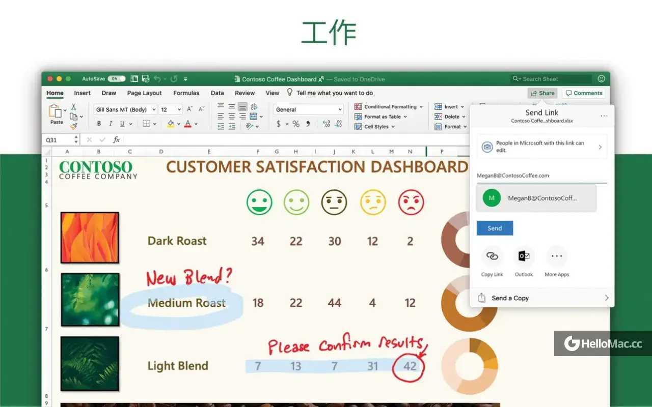Microsoft 365 Excel LTSC 2024 v16.91