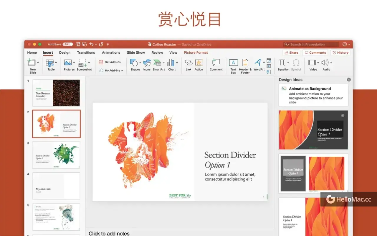 Microsoft 365 PowerPoint LTSC 2024 v16.91