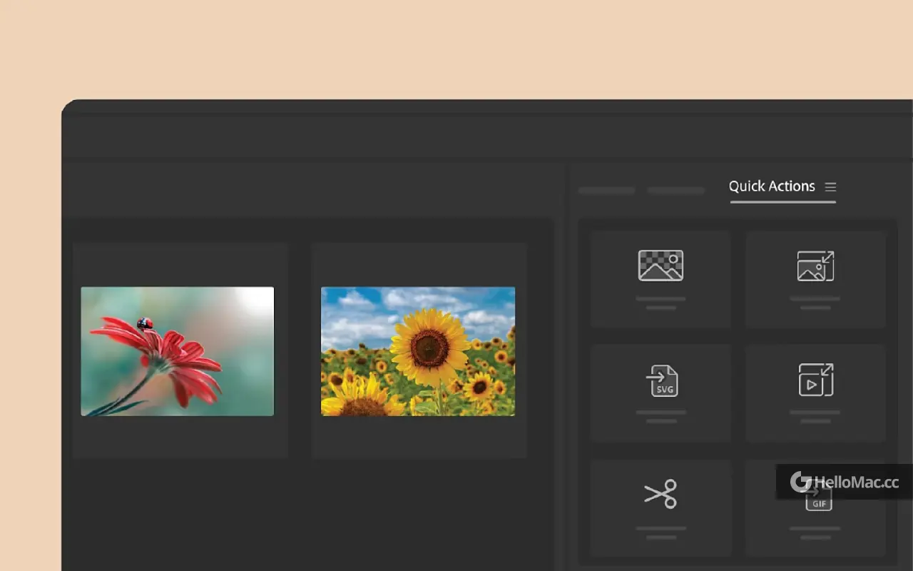 Adobe Bridge 2025 v15.0.3