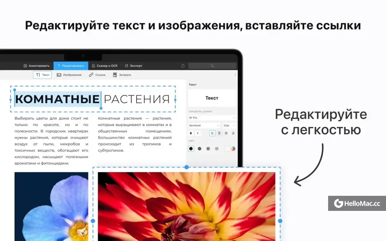 PDF Expert v3.10.9