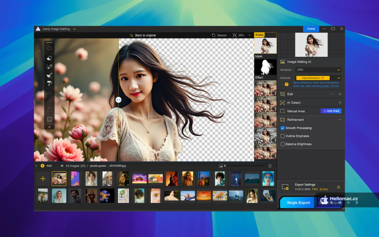 Aiarty Image Matting v2.1