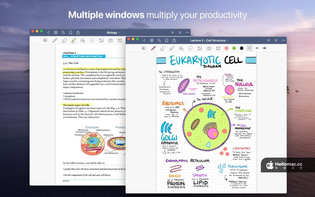 GoodNotes 5 v5.9.8 MAS
