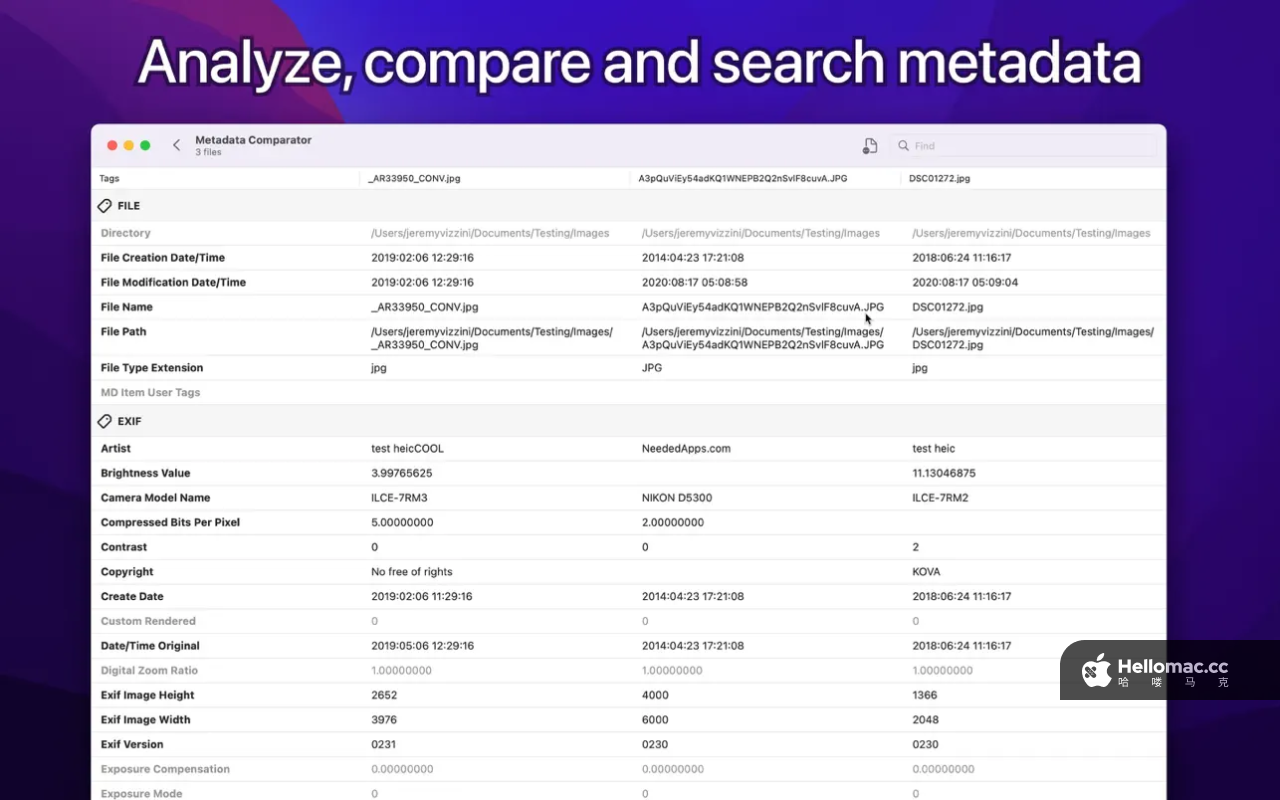 MetaImage v2.6.7 MAS