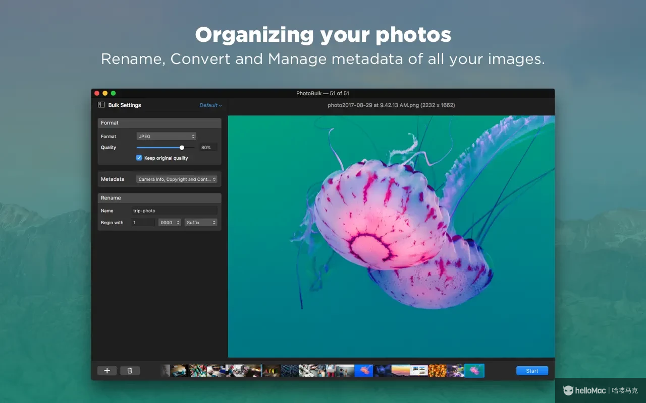 PhotoBulk v2.7