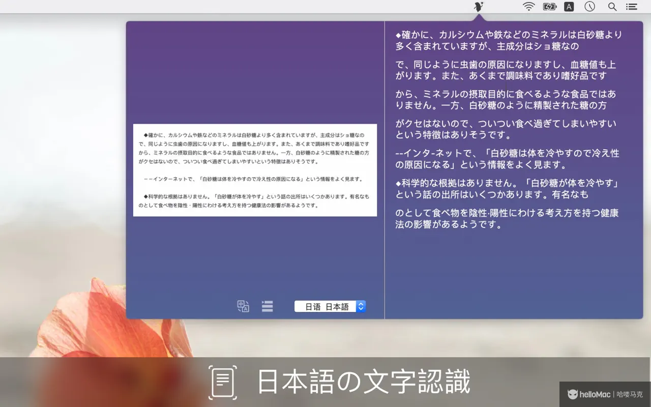 Text Scanner v1.8.1 MAS