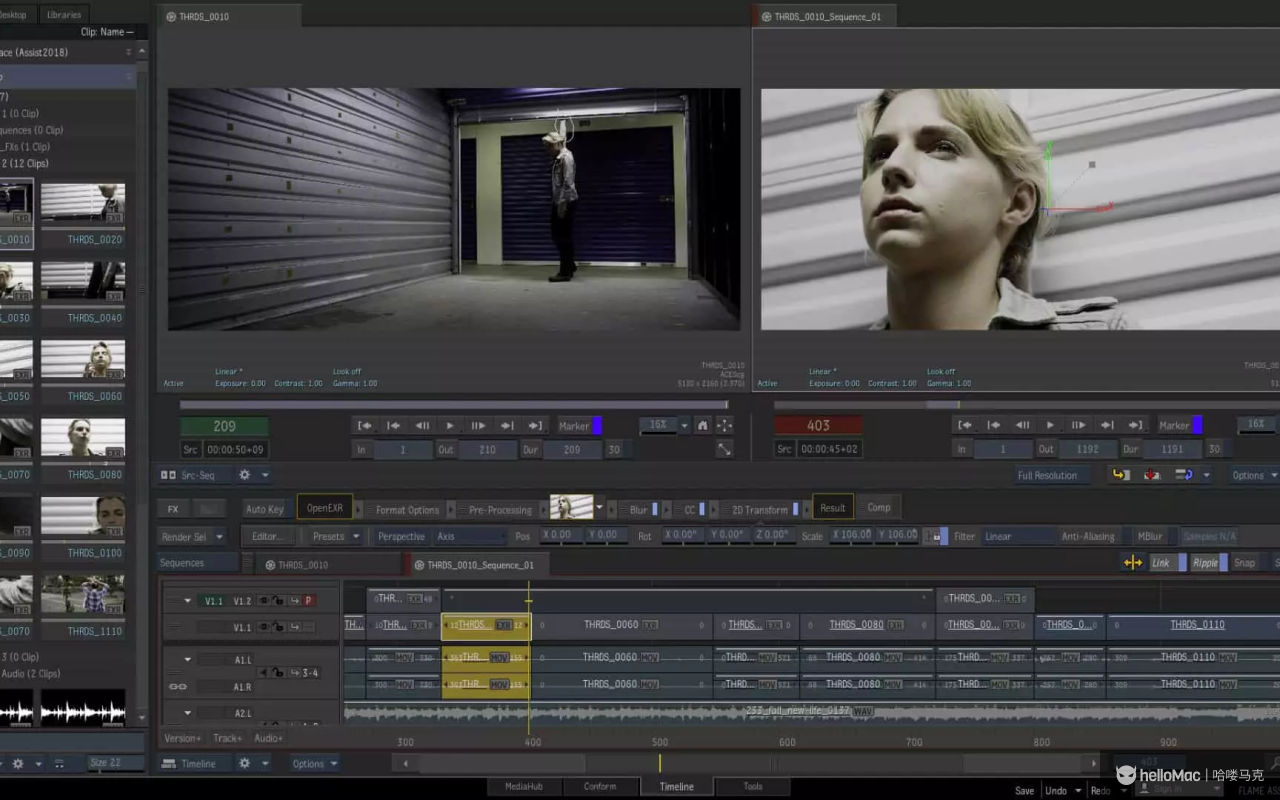 Autodesk Flame 2026 v2026