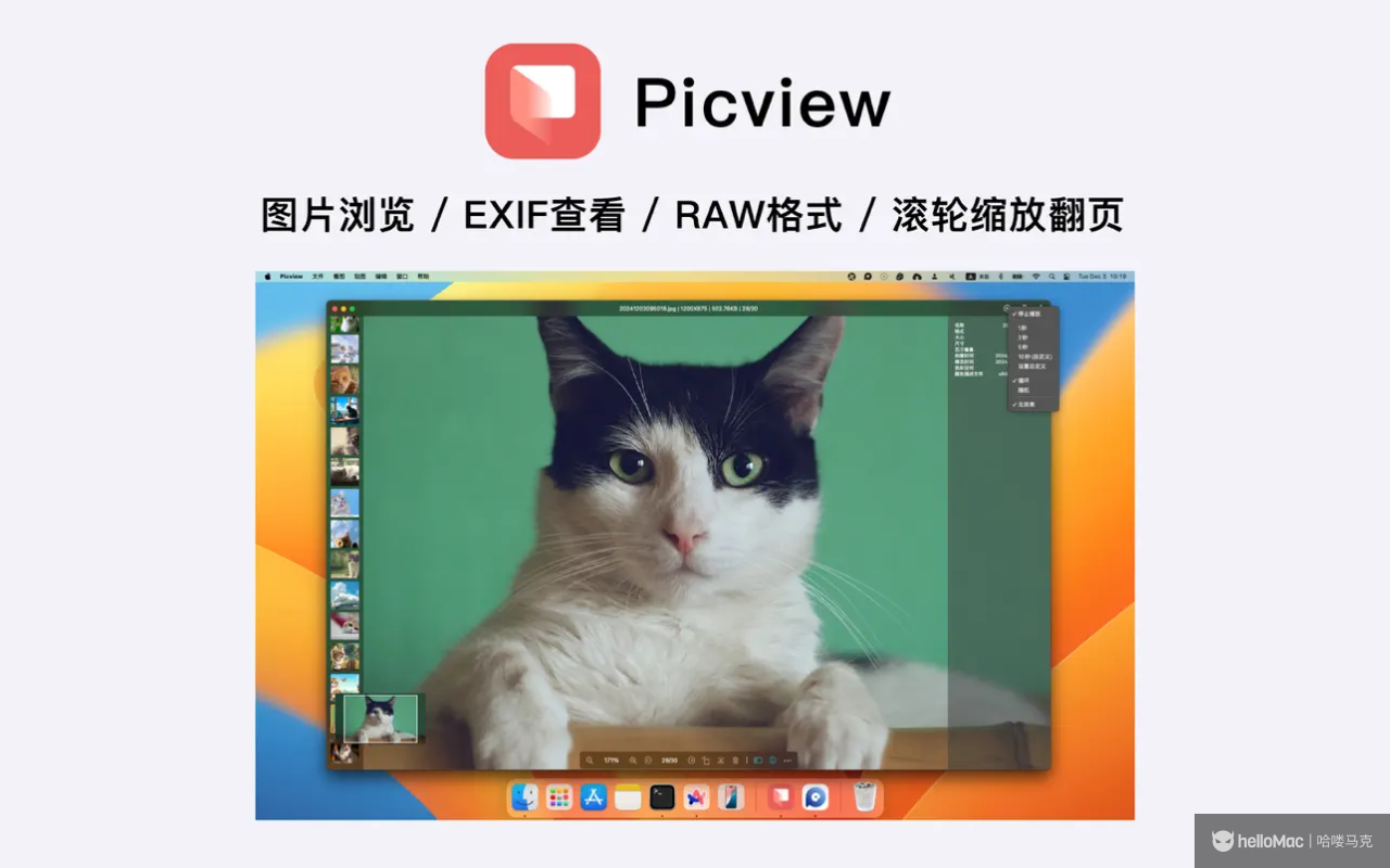 Picview v1.44
