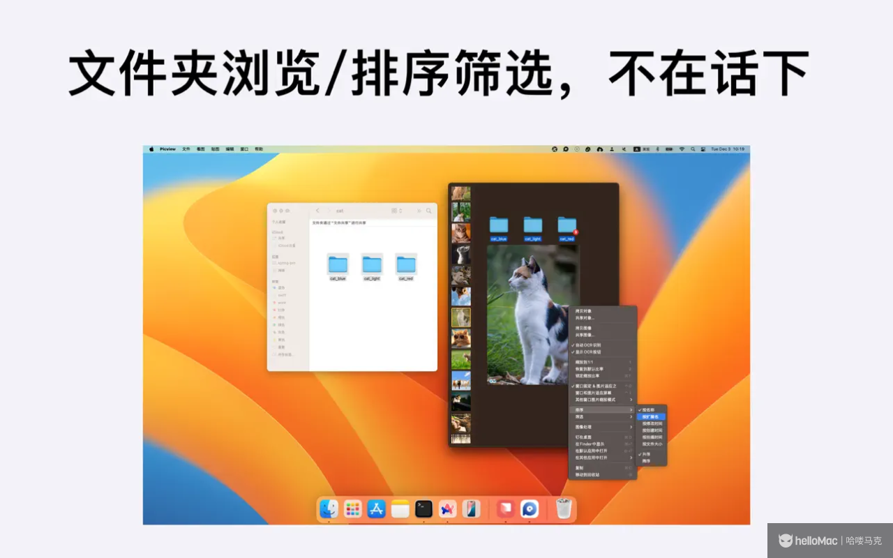 Picview v1.44
