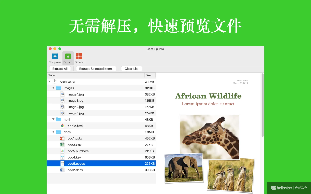 BestZip Pro - 解忧专业版 v2.6.1