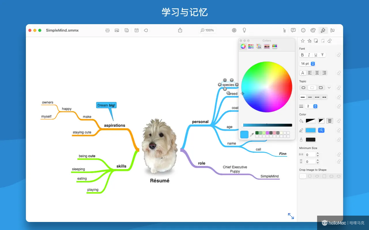 SimpleMind Pro v2.7.0 MAS