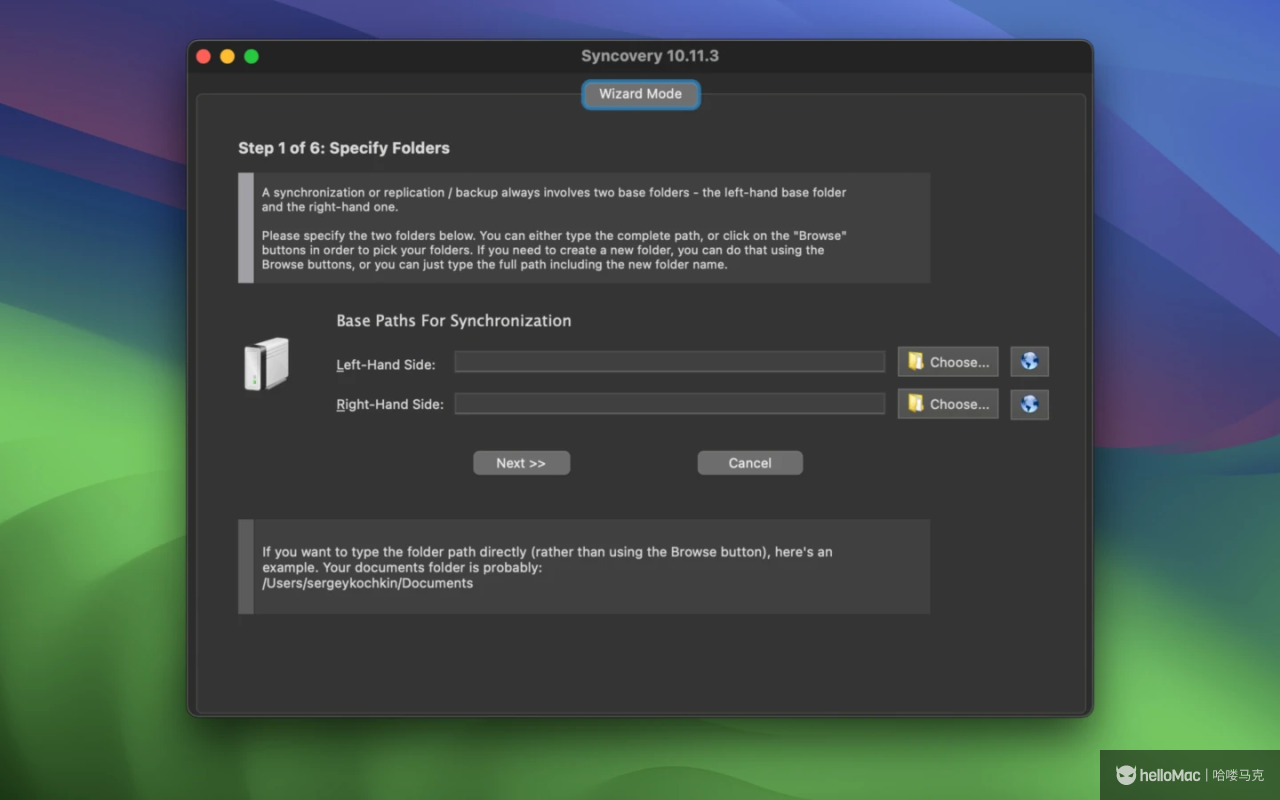 Syncovery Professional v10.17.5