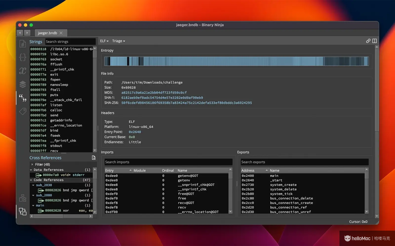 Binary Ninja v4.2.6455