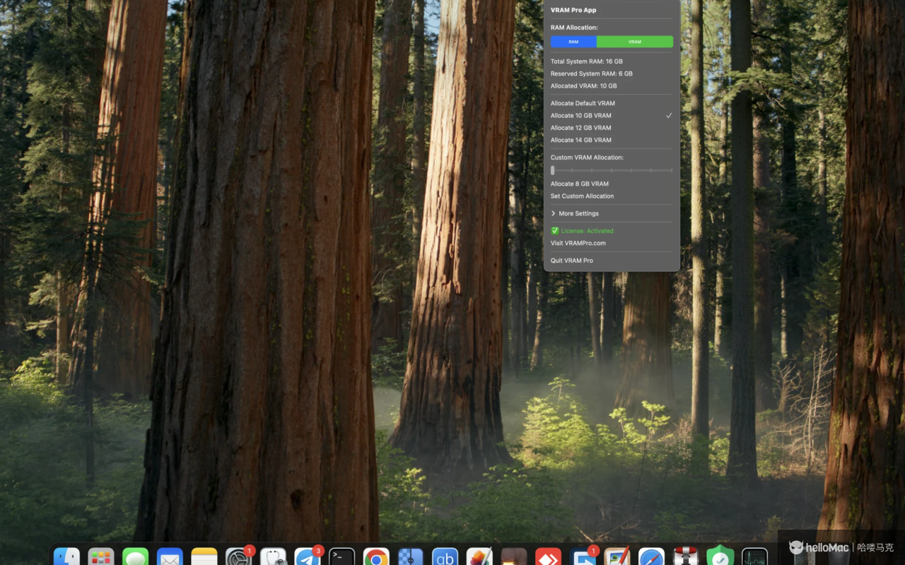 VRAM Pro v2.1.3