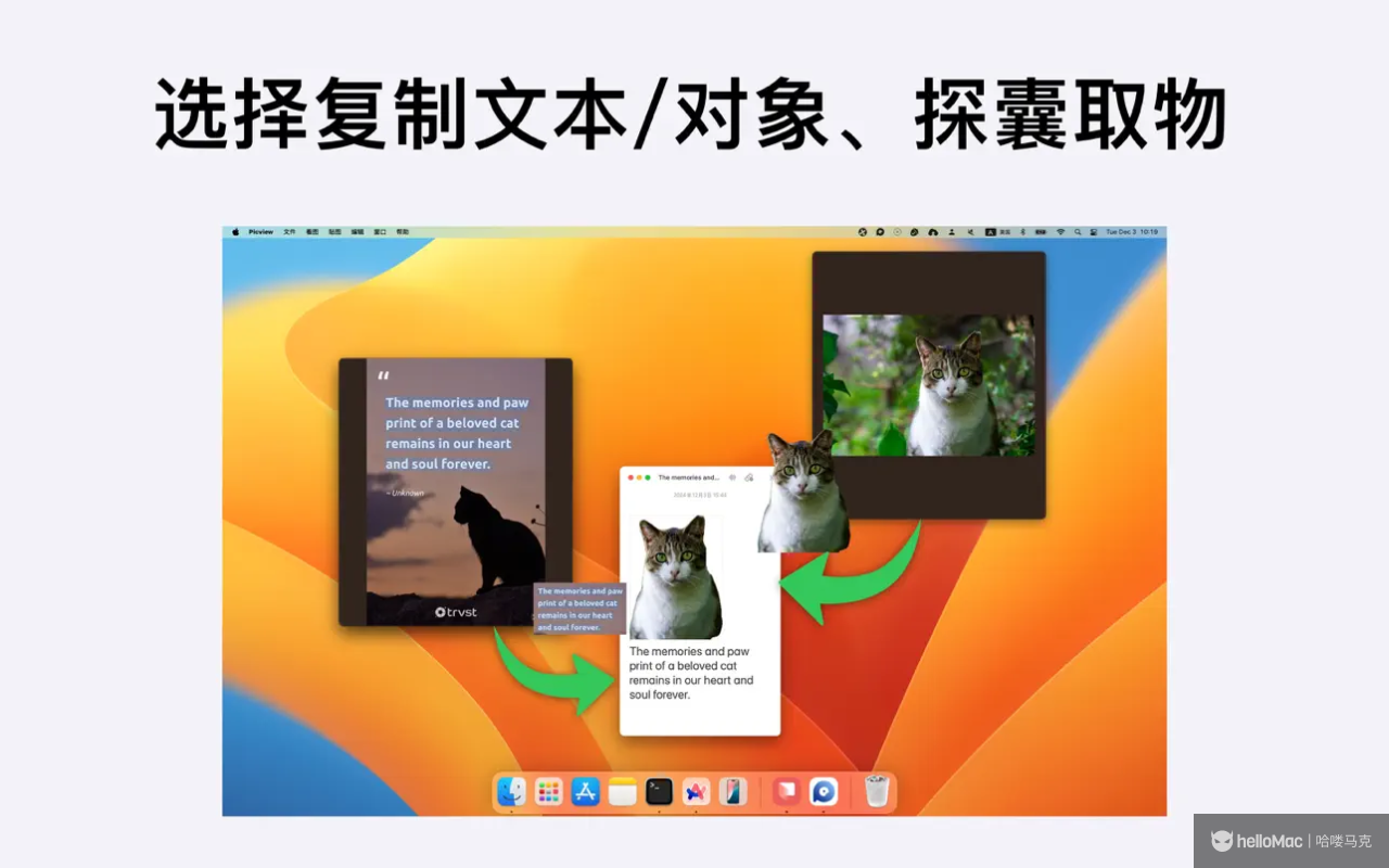 Picview v1.44