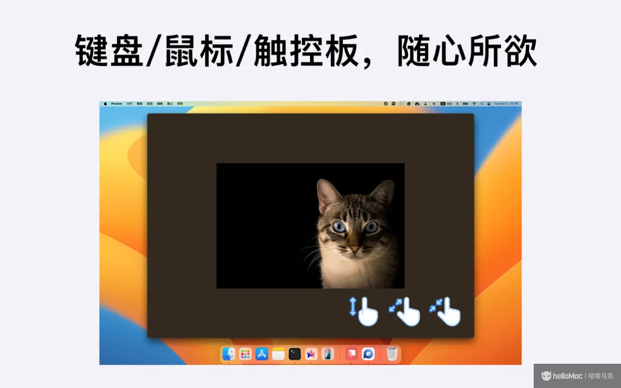 Picview v1.44