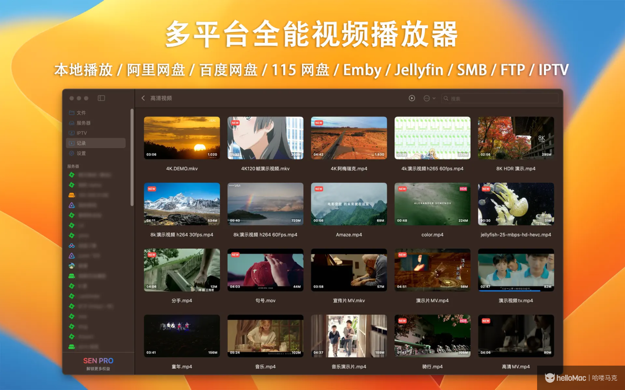 SenPlayer v5.5.0