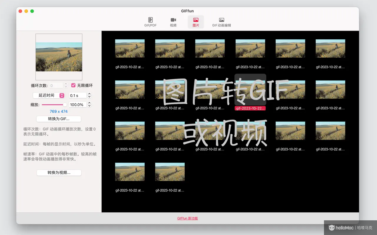 GIFfun - GIF制作器 v9.9.12 MAS