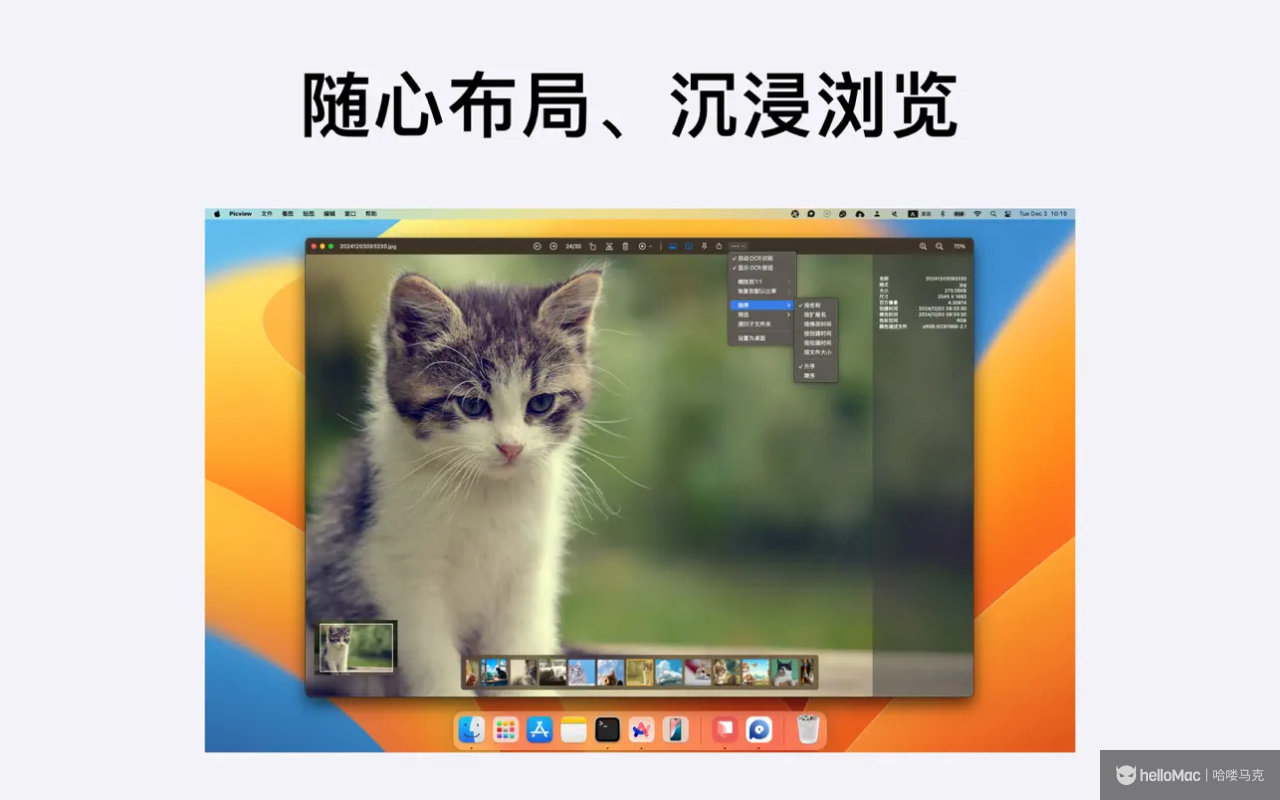 Picview v1.44