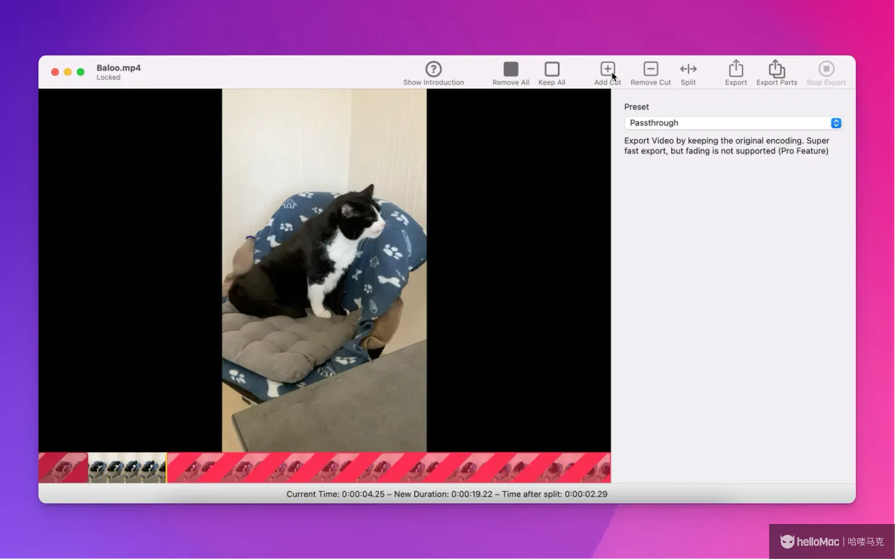 Trimma v1.9.1174